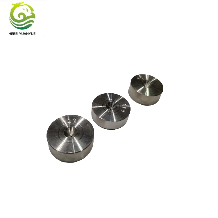 Stainless Steel Customized Polsing Mold